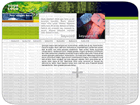 Web Template #00017