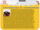 Web Template #00026